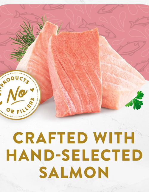 Load image into Gallery viewer, Purina  Appetizers Wet Cat Food, Steamed Alaskan Salmon, 1.1 Oz Trays (10 Pack)
