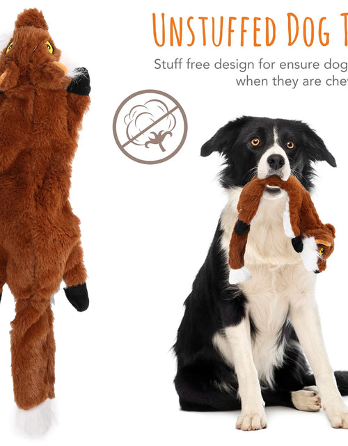 Load image into Gallery viewer, 5 Dog Squeaky Toys for Small Dog, No Stuffing
