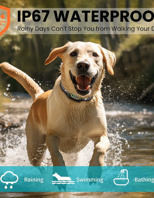 Load image into Gallery viewer, Dog Shock Collar for Large Dogs,Smart Bark Collar,Rechargeable anti Barking Training Collar with 7 Adjustable Sensitivity, with Beep Vibration
