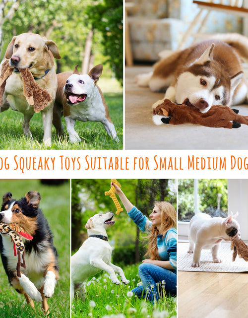 Load image into Gallery viewer, 5 Dog Squeaky Toys for Small Dog, No Stuffing
