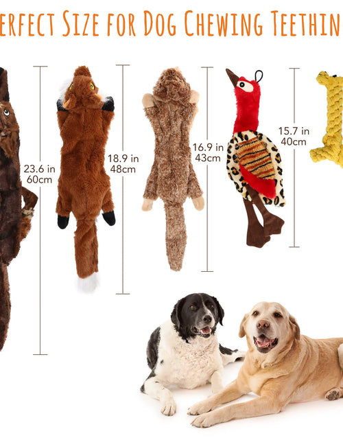 Load image into Gallery viewer, 5 Dog Squeaky Toys for Small Dog, No Stuffing
