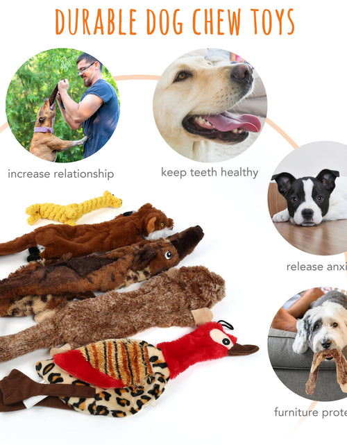 Load image into Gallery viewer, 5 Dog Squeaky Toys for Small Dog, No Stuffing
