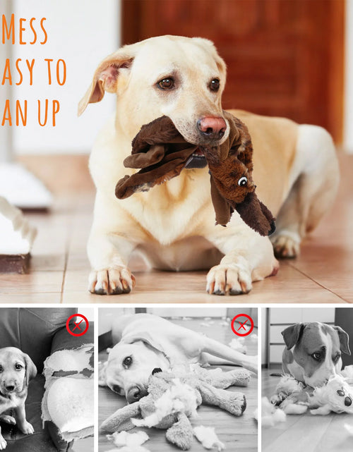 Load image into Gallery viewer, 5 Dog Squeaky Toys for Small Dog, No Stuffing
